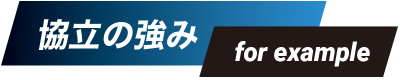 協立の強み for example